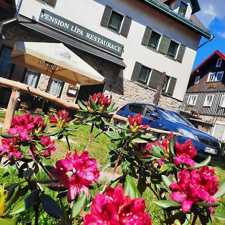 Pension Lipa Horní Maršov Exteriör bild