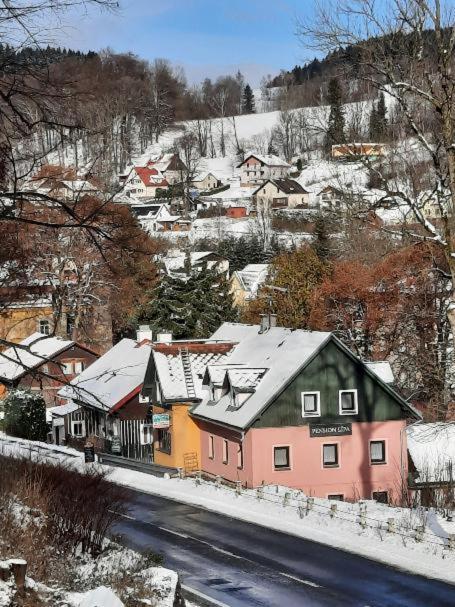 Pension Lipa Horní Maršov Exteriör bild