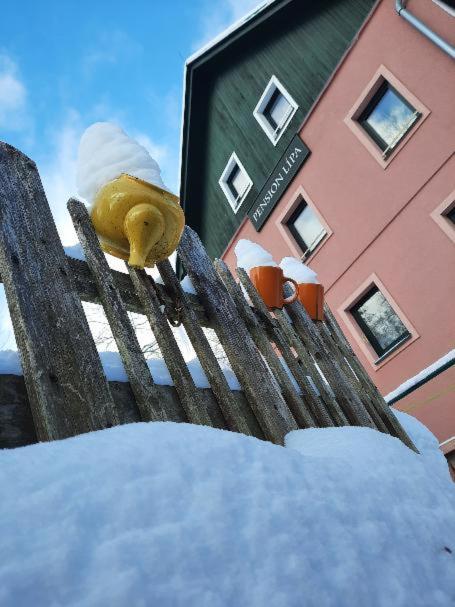 Pension Lipa Horní Maršov Exteriör bild