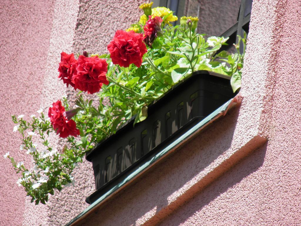 Pension Lipa Horní Maršov Exteriör bild